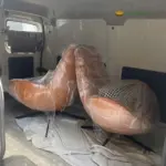 Ghế Sofa Thư Giãn Hiện Đại KS-TG-18 - Ảnh 9