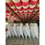 Ghế Nhựa Sự Kiện KS-SK001 - Ảnh 8