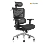 Ghế Công Thái Học Lưng Lưới Có Tựa Đầu KS-TP004 - Ảnh 2