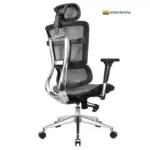 Ghế Công Thái Học Lưng Lưới Có Tựa Đầu KS-TP003 - Ảnh 6