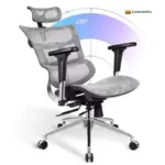 Ghế Công Thái Học Lưng Lưới Có Tựa Đầu KS-TP003 - Ảnh 3