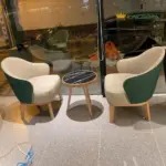 Ghế Sofa Thư Giãn Hiện Đại Khung Gỗ Tần Bì Bọc Nệm Cao Cấp Kingsofa KS-DL-035 (Sofa Đơn/ Sofa Cafe) - Ảnh 2